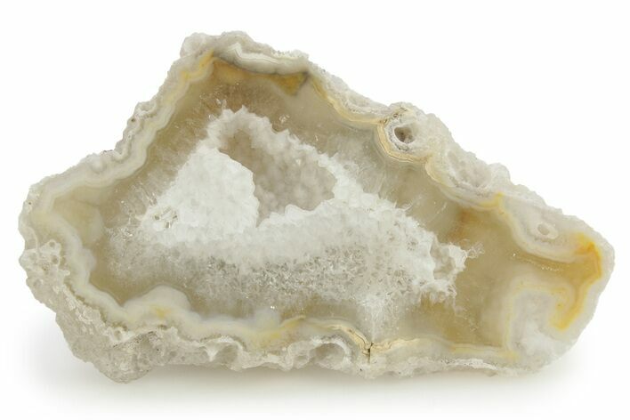 Agatized Fossil Coral Geode - Florida #256476